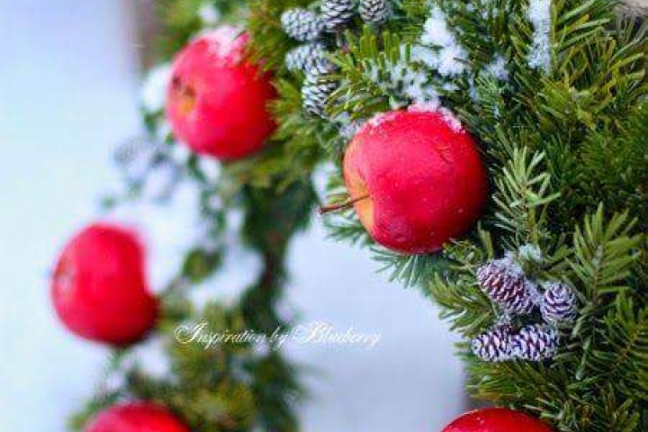 ❤🌲🌲❤🌲🌲❤🌲🌲